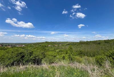 Teren Construcții extravilan de 8200 mp, în Central - 13