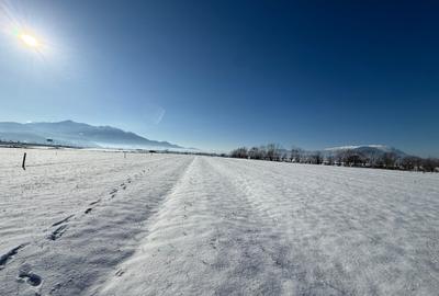 Teren intravilan la 10 km de Ghimbav - 12