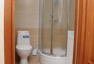 Se propune spre inchiriere apartament cu doua camere in zona Vitan (Mall Vitan) - 5