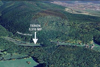 Teren de vanzare - Colonia 1 Mai, 5.310 mp, ideal pentru investitie - 9