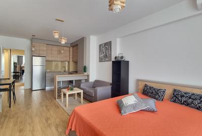 Iancu Nicolae/Residence 5 /Studio elegant /Parcare - 4