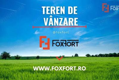 Teren de 10000 mp, în Aradului