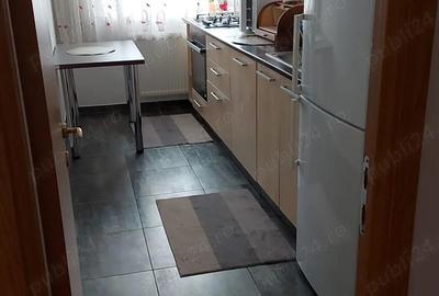Apartament cu 2 camere semidecomandat în Ozana - 1