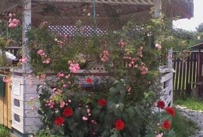 Voineasa, Valcea, vila 13 camere, altitudine 700 m Voineasa, Valcea, vila 13 camere, altitudine 700 m - 7