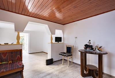 Pecica, jud. Arad, casa de vanzare - 3