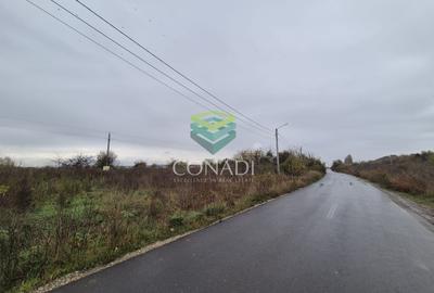 Teren cu PUZ si Autorizatie - OTOPENI - 4