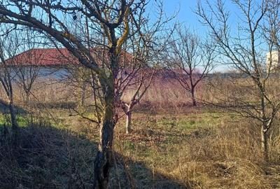 Teren Construcții intravilan de 2040 mp, în Săbăreni - 4