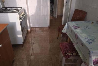 Vand apartament 2 camere in Deva, zona I. Maniu (Venetia), suprafata utila 45 mp, - 4