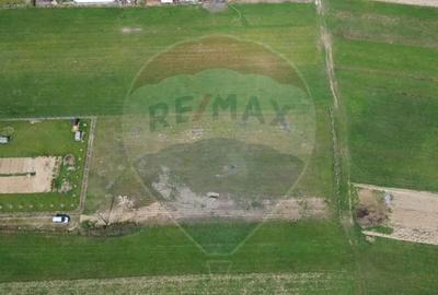 Teren de 1343 mp, în Cătălina - 2