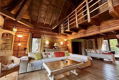 Raritate| Teren de vis de 6 ha de vanzare in Pestera Brasov - 3