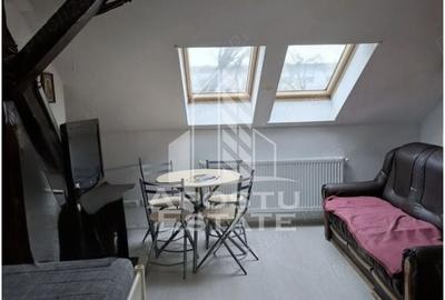 Garsonieră semidecomandată, mobilată în Iosefin - 2