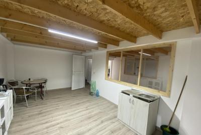 Proprietate agroindustriala, hala 1590 mp, teren 28000 mp, p - 3