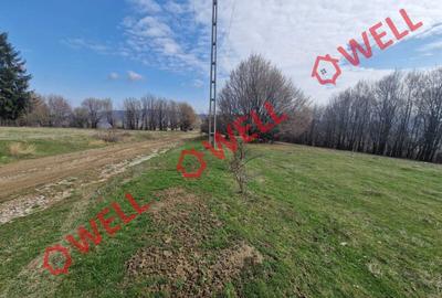 De vânzare teren extravilan în localitatea Brădet! De vânzare teren extravilan în localitatea Brădet! - 12