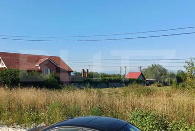 Teren de 9500 mp, în Abator - 3