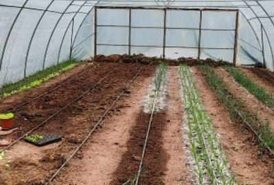 Vand casa batraneasca sat trestia com baita - 6