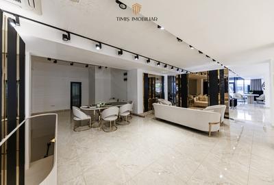 Spațiu comercial, de 450 mp, în Traian - 12