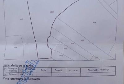 Spațiu comercial, în Bologa - 3