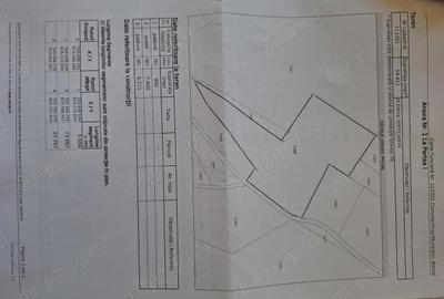 Teren în Șerani - 3