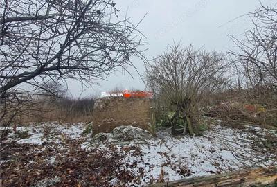 Casă cu Teren 9504 Mp în Poclușa de Barcău - 8