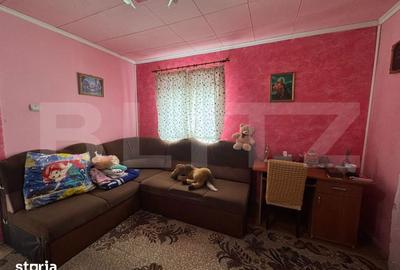 Casă cu 4 camere cu Teren 2000 Mp în Beriu - 14