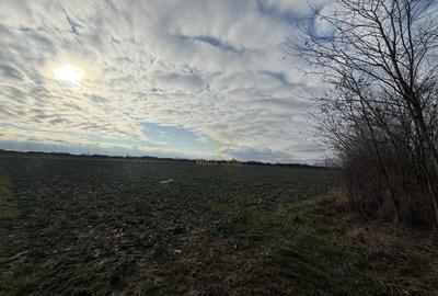 Teren de 6600 mp, în Lazuri - 3
