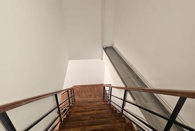 Proprietate speciala Dumbravita - casa individuala !! - 37