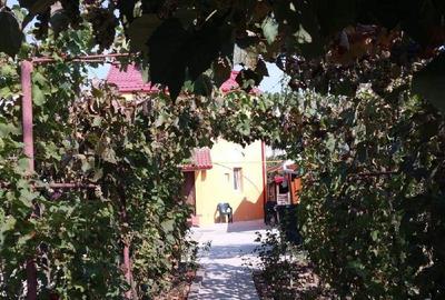 Casă cu 6 camere în Bariera Vâlcii - 4