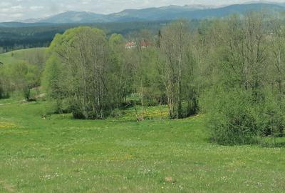 Teren de 45000 mp, în Ortoaia - 1
