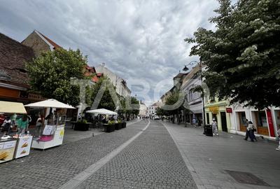 Spatiu comercial de inchiriat 84 mp utili in Sibiu Piata Mare - 4