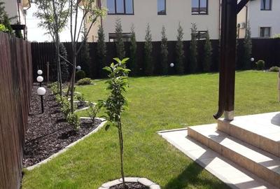 Casă individuală cu 4 camere cu Teren 250 Mp în Corbeanca - 3