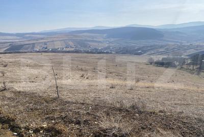 Teren extravilan in suprafata de 140551 mp in loc. Recea - 22