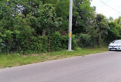 Brebu Megiesesc, casa + teren - 15