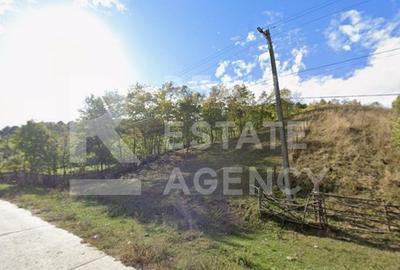 Teren intravilan de 3247 mp, în Nord - 3