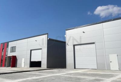 Hale depozitare de in zona de Nord Chitila Hale depozitare de in zona de Nord Chitila - 5