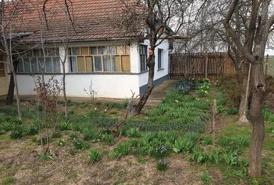 De vanzare casa Ortisoara - 6