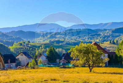 COMISION 0% Teren 19.300 mp/?irnea/ Oportunitate de inve... COMISION 0% Teren 19.300 mp/?irnea/ Oportunitate de inve... - 12