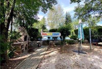 Vanzare Vila de lux Baicoi - 4