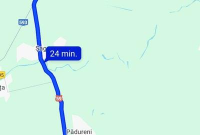 Casa cu teren 2877.mp la 27 km de Timi?oara - 4