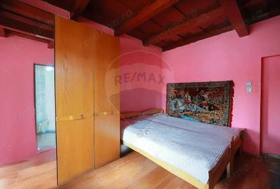 De vanzare casa cu 3 camere ?i teren 3205 mp in Sannicolau Roman - 10