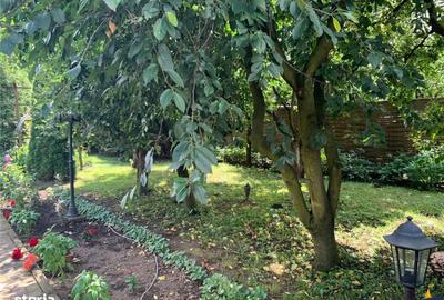 Spațiu comercial, în Sântana de Mureș - 8