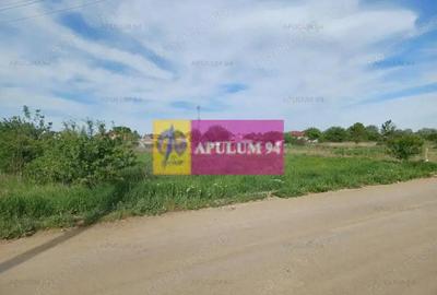 Teren de 1400 mp, în Joița - 4