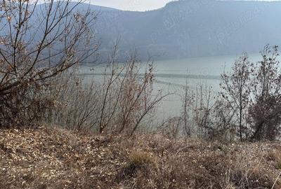 Teren intravilan Dubova 526 mp Teren intravilan Dubova 526 mp - 5