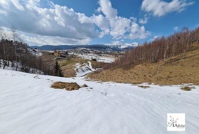 Teren De Vanzare In Sirnea - 31