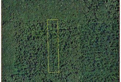 Spațiu comercial, în Central - 3