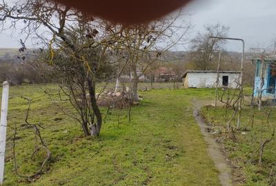 Casă individuală cu 2 camere cu Teren 2500 Mp în Viroaga - 4