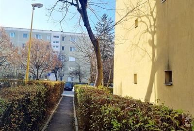 Cartierul Florilor, imobil renovabil, etaj intermediar, zona linistita, Brasov - 9