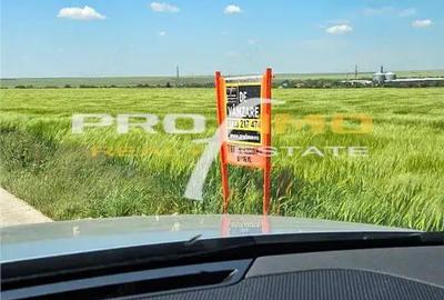 Teren de 4200 mp, în Corbu