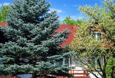 In Vintage style, cu acces auto in curte proprie,  zona Star  - Centrul Istoric, - 3