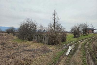 Teren de 3348 mp, în Troian - 3