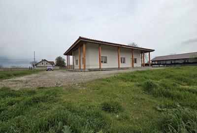 Casă cu Teren 1400 Mp în Agighiol - 3